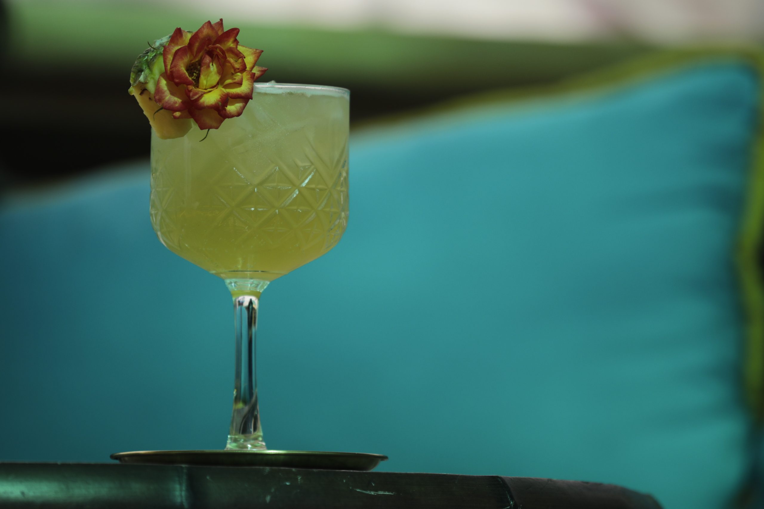 🍸 PIQUITO COLIBRÍ